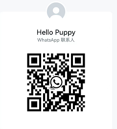 the qr code