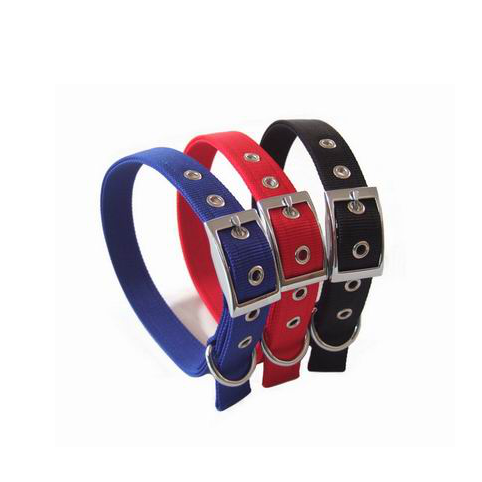 Double pin buckle dog collar