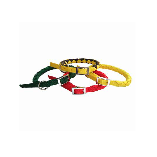 Braided dog collar