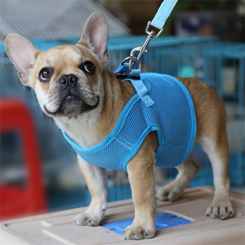 Soft mesh dog harness