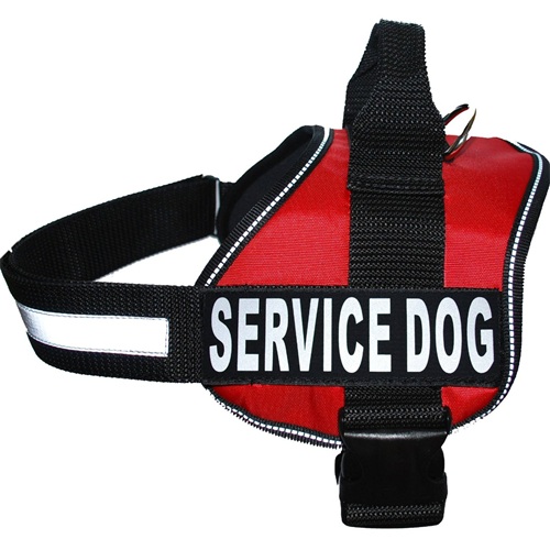 Dog harness with two patches with different letters at each side