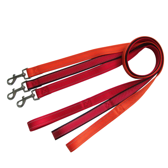 Dog leash  with reflective stitching