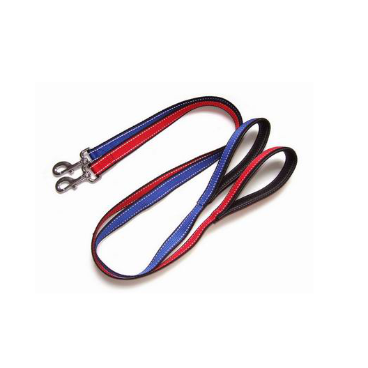 Padded dog leash with reflective stitching
