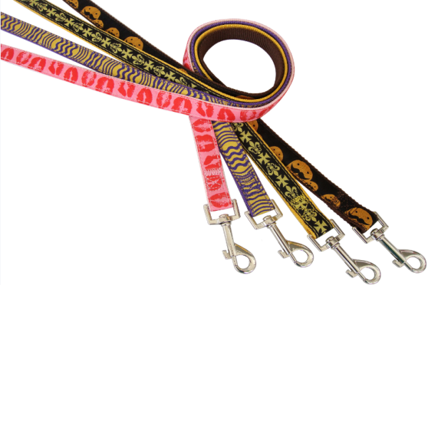 Ribbon dog leash