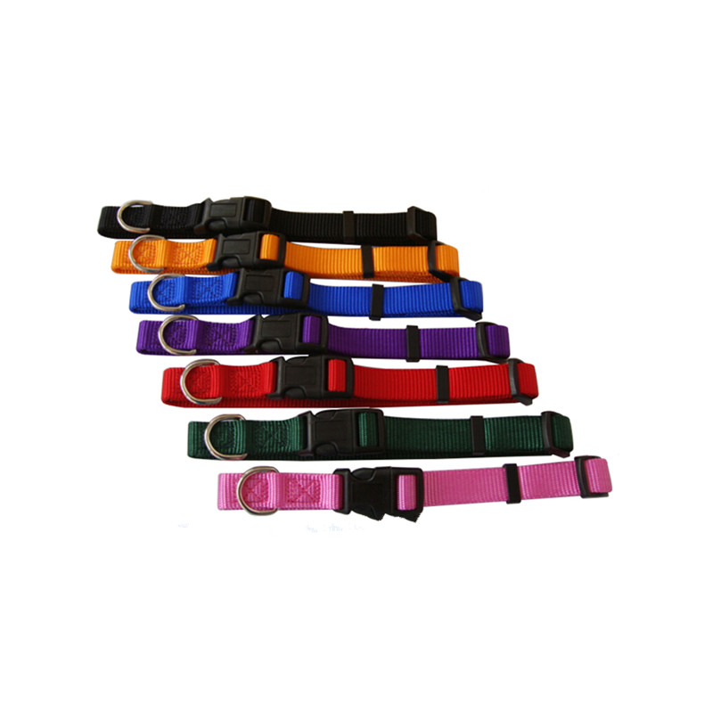 Solid color Nylon Dog Collar  