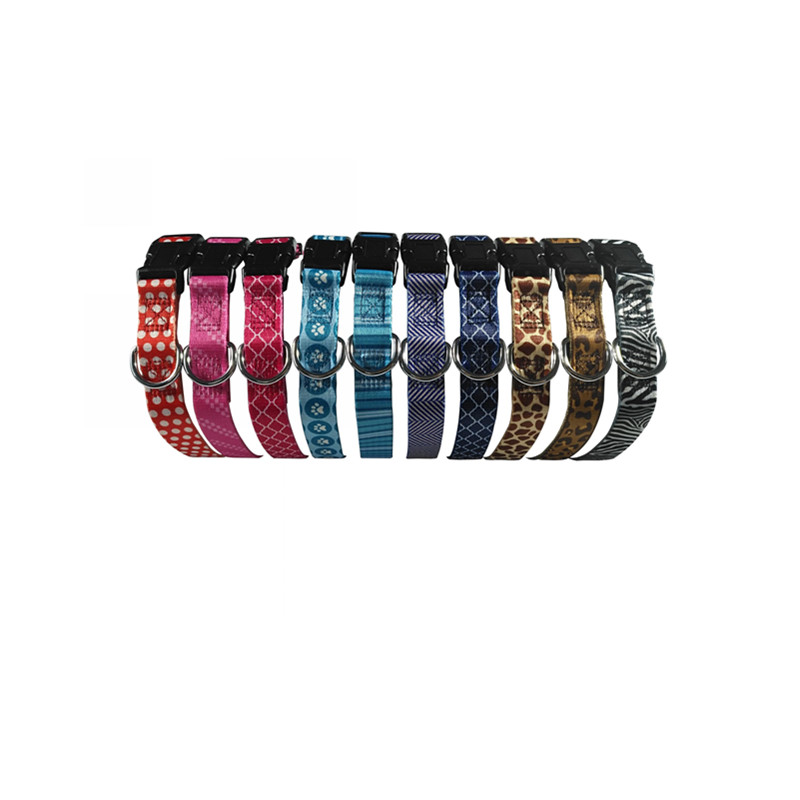 Printed dog collar