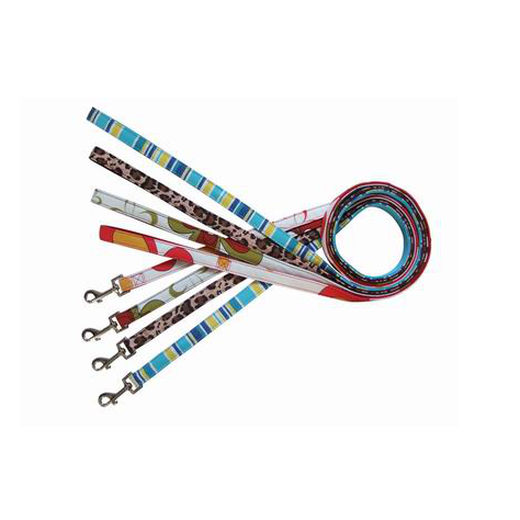 Dog leash with canvas