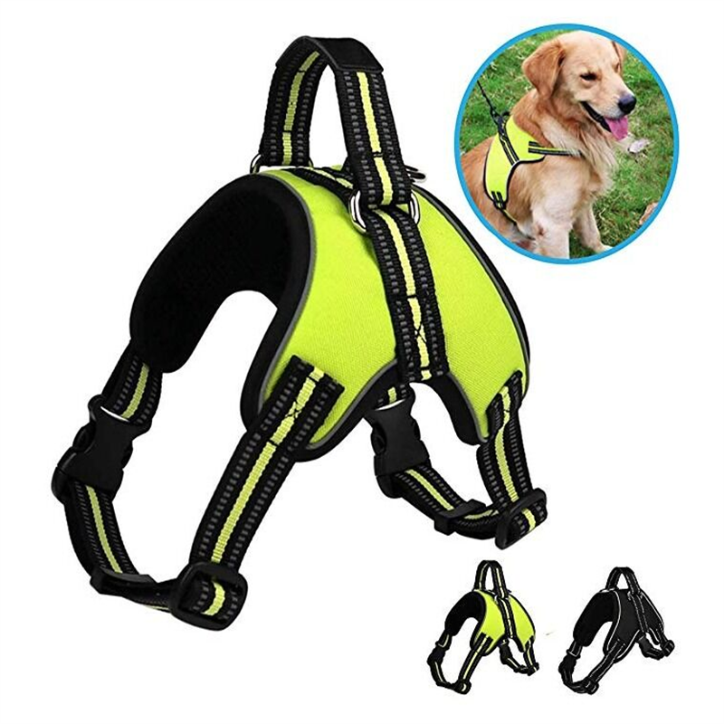 Non pull dog harness