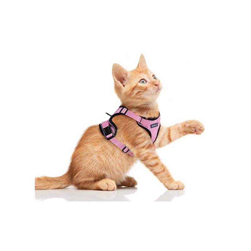 Reflective mesh cat harness